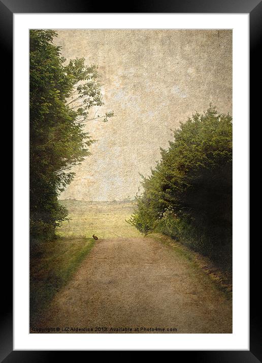 A Walk Up The Lane Framed Mounted Print by LIZ Alderdice