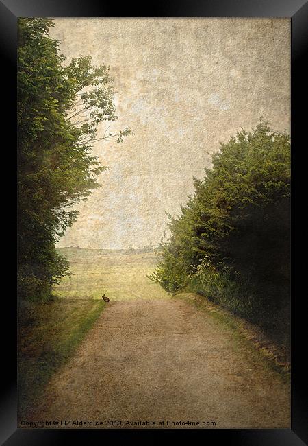 A Walk Up The Lane Framed Print by LIZ Alderdice