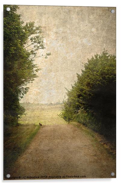 A Walk Up The Lane Acrylic by LIZ Alderdice