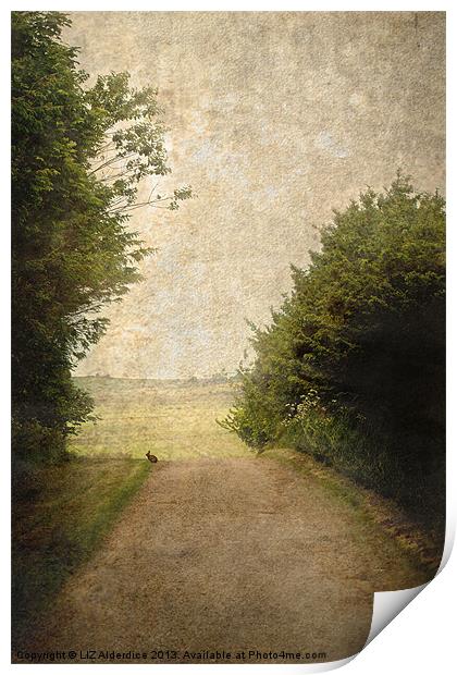 A Walk Up The Lane Print by LIZ Alderdice