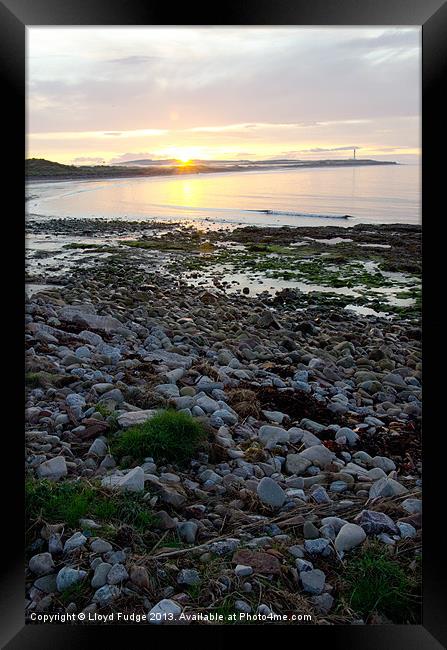 Late evening sunset in Lossiemouth Framed Print by Lloyd Fudge