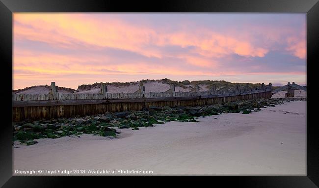 Early morning sunrise in Lossiemouth Framed Print by Lloyd Fudge
