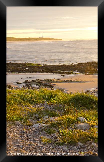 lossiemouth sunset Framed Print by Lloyd Fudge