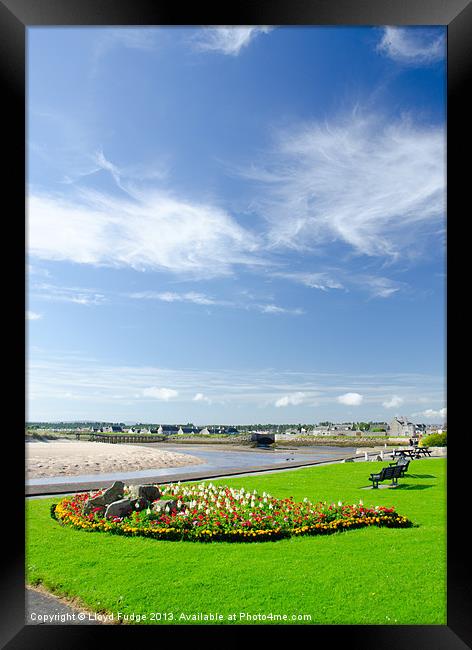 lossiemouth beach front in summer Framed Print by Lloyd Fudge
