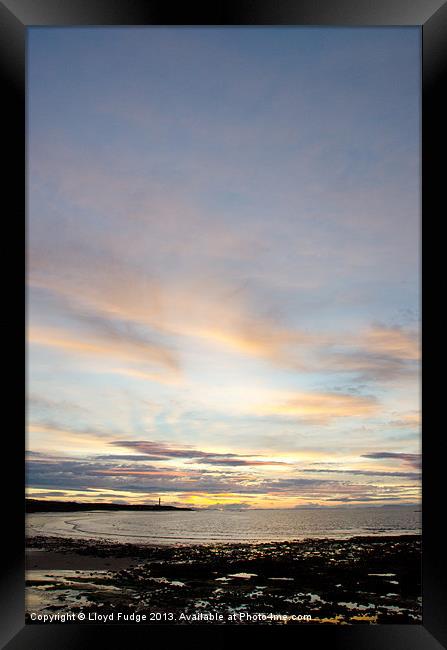 late evening over looking the moray forth Framed Print by Lloyd Fudge
