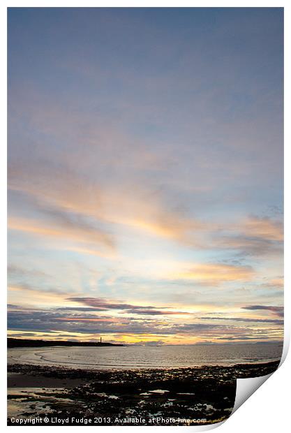 late evening over looking the moray forth Print by Lloyd Fudge