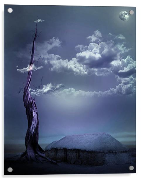 Magic at Midnight Acrylic by Debra Kelday