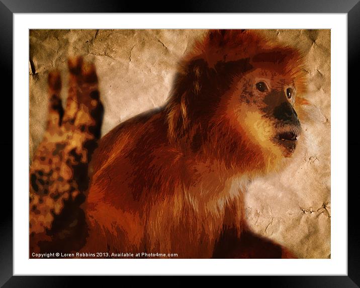 OOO You Little Monkey Framed Mounted Print by Loren Robbins