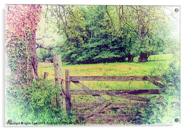 Field Gate Acrylic by Julie Coe