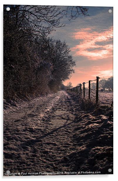 A winter Walk Acrylic by Paul Holman Photography