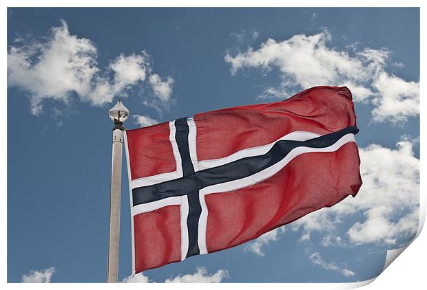 Flag Of Norway Print by Steve Purnell