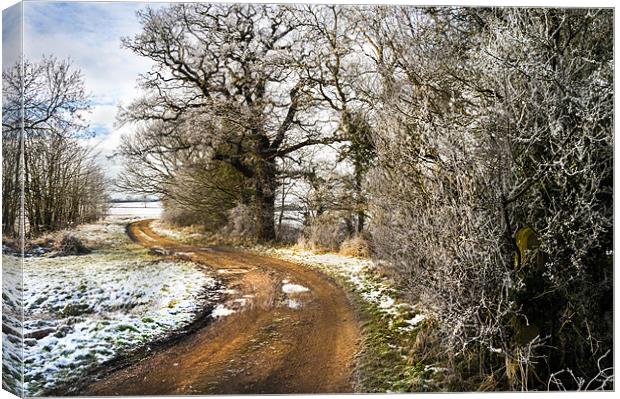 Country Road, Take Me Home Canvas Print by Lee Morley