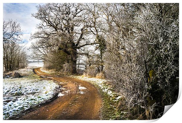 Country Road, Take Me Home Print by Lee Morley
