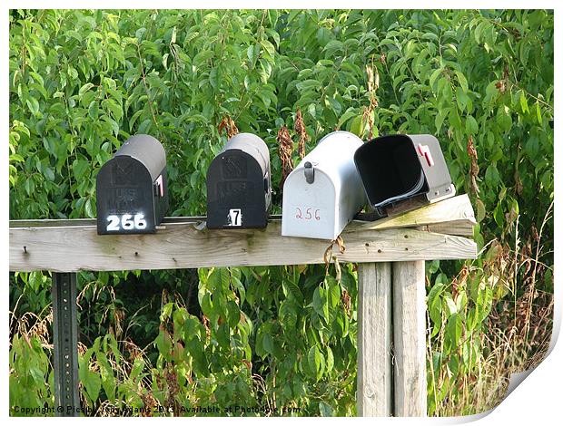 Mailboxes on the shelf Print by Pics by Jody Adams