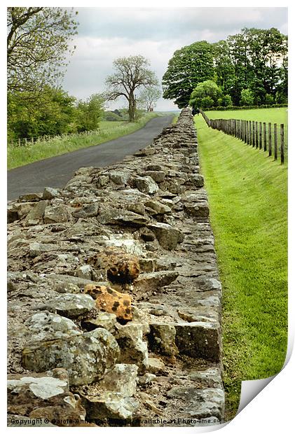 Hadrians Wall Print by Carole-Anne Fooks