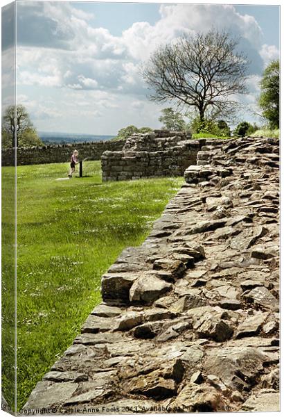 Hadrians Wall Canvas Print by Carole-Anne Fooks