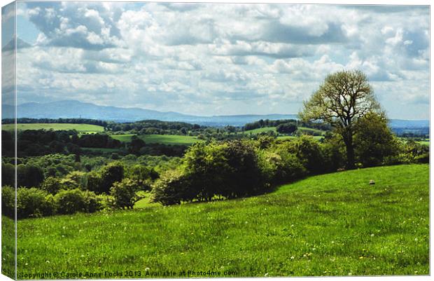 Green And Pleasant Land Canvas Print by Carole-Anne Fooks