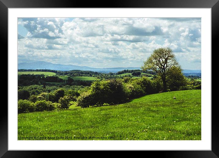 Green And Pleasant Land Framed Mounted Print by Carole-Anne Fooks