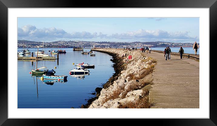 Brixham Harbour and Breakwater Framed Mounted Print by Peter F Hunt