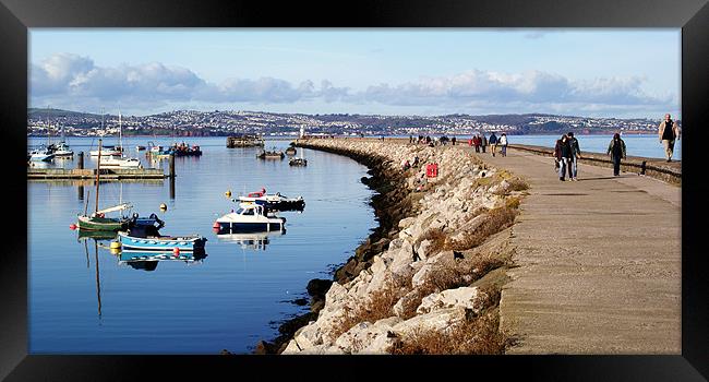 Brixham Harbour and Breakwater Framed Print by Peter F Hunt
