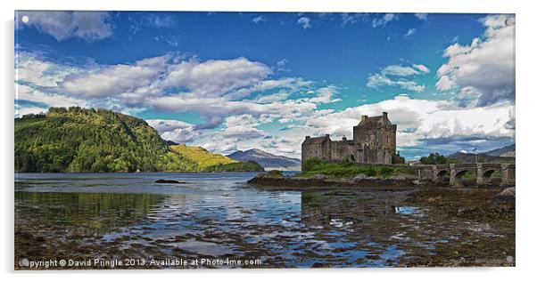 Eilean Donan Castle Acrylic by David Pringle