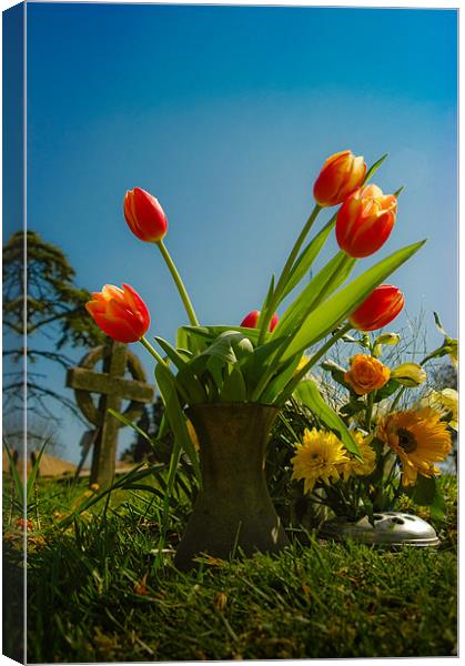 Red Tulips Canvas Print by Mark Llewellyn
