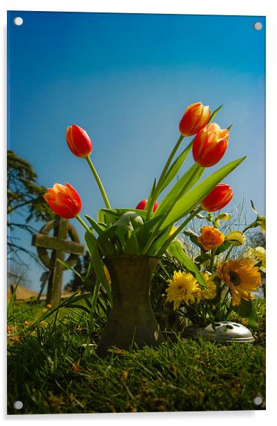 Red Tulips Acrylic by Mark Llewellyn