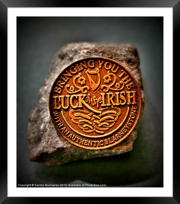 The Luck Of The Irish Framed Mounted Print by Sandra Buchanan