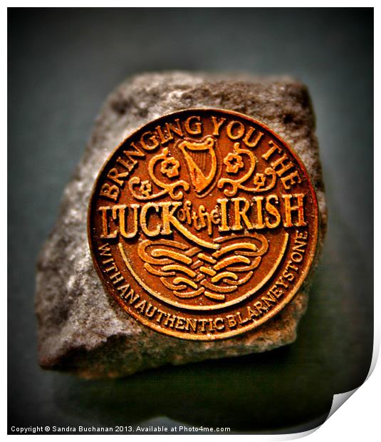 The Luck Of The Irish Print by Sandra Buchanan