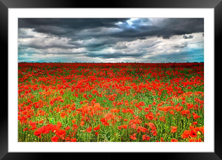 Poppy Field Framed Mounted Print by Simon West