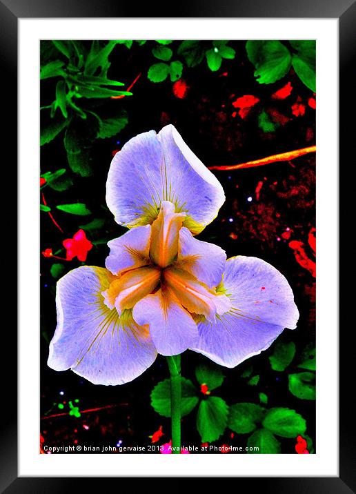 Smell me Framed Mounted Print by  