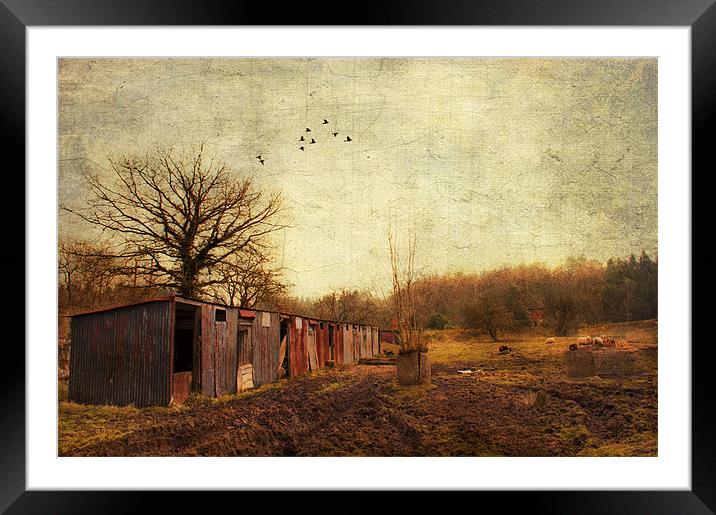 Memories of past times Framed Mounted Print by Dawn Cox