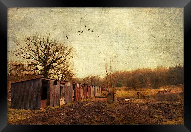 Memories of past times Framed Print by Dawn Cox
