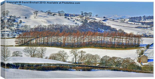 Winter Landscape Near Shap Canvas Print by David Birchall