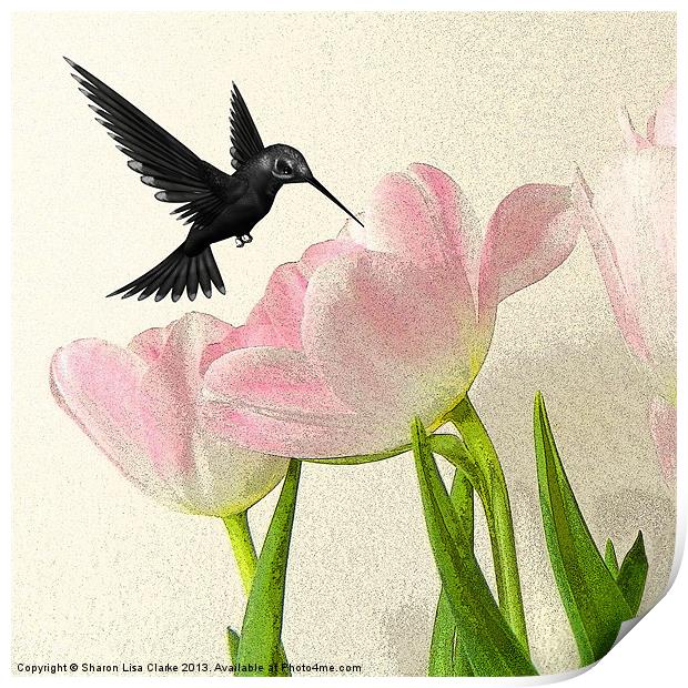 Hummingbird Print by Sharon Lisa Clarke