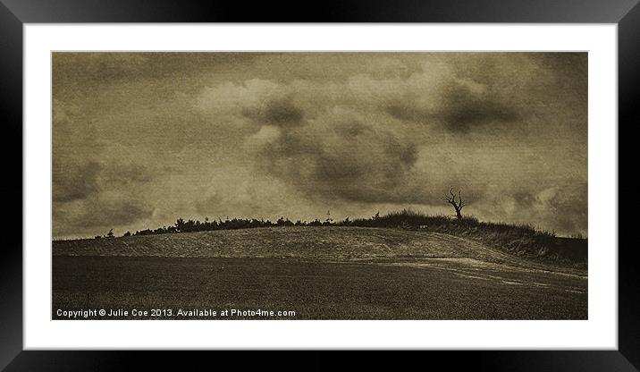 Toned Grainy Field Framed Mounted Print by Julie Coe