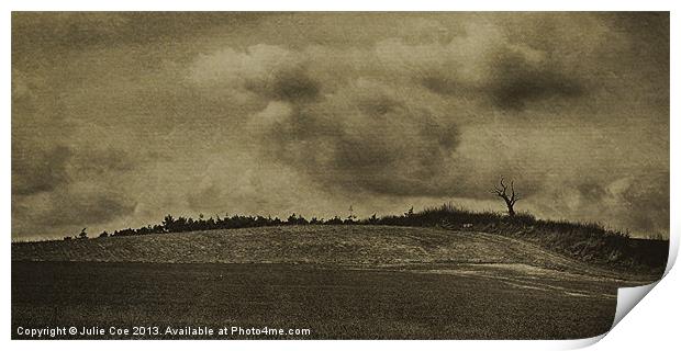 Toned Grainy Field Print by Julie Coe