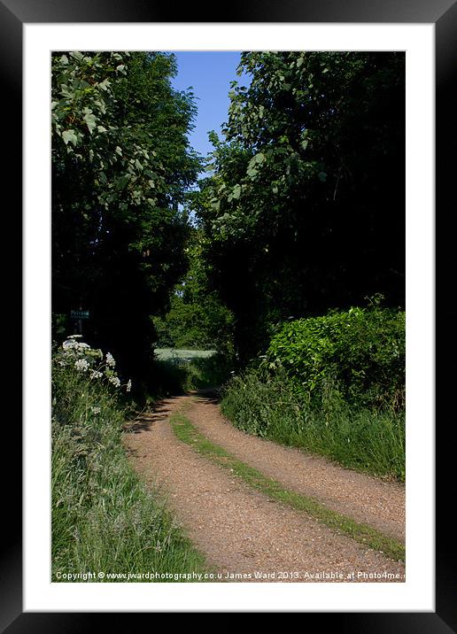 Woodland Lane Framed Mounted Print by James Ward