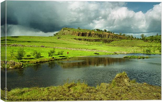 Hadrians Wall Canvas Print by Carole-Anne Fooks