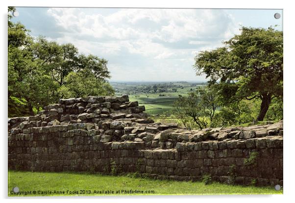 Hadrians Wall England Acrylic by Carole-Anne Fooks