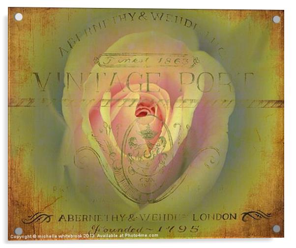 Vintage Rose 2 Acrylic by michelle whitebrook