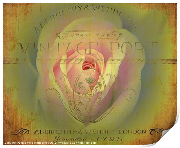 Vintage Rose 2 Print by michelle whitebrook