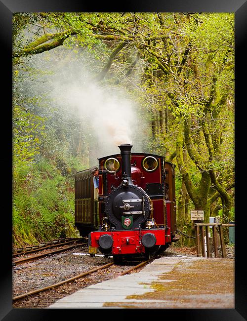 Steam Locomotive Dolgoch, Talyllyn, Wales, UK Framed Print by Mark Llewellyn