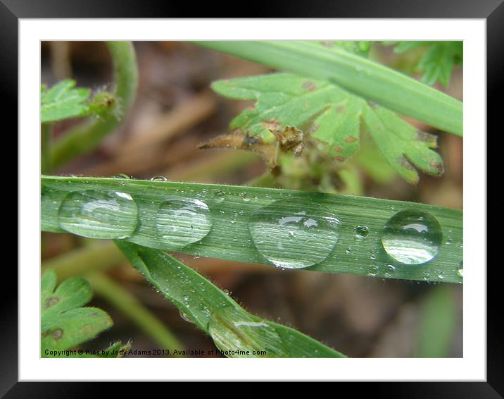 Raindrops Framed Mounted Print by Pics by Jody Adams