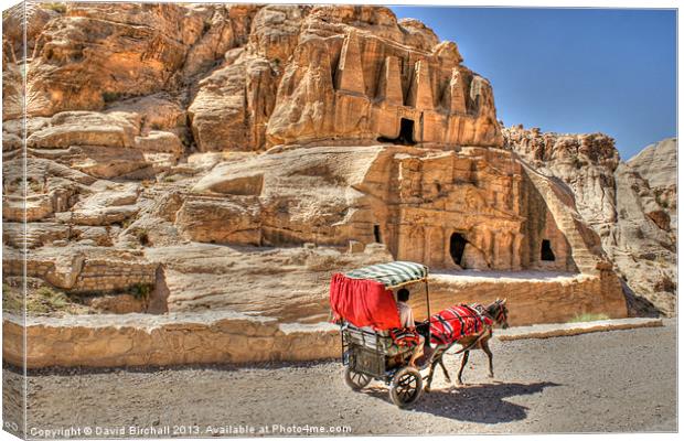 Donkey carriage at Petra Canvas Print by David Birchall