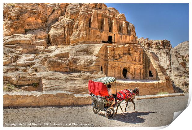 Donkey carriage at Petra Print by David Birchall