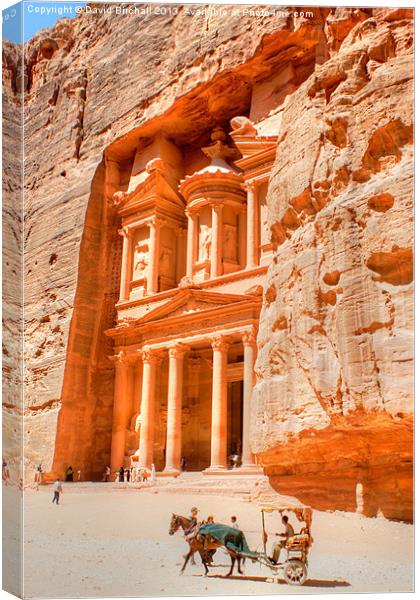 The Treasury at Petra, Jordan. Canvas Print by David Birchall