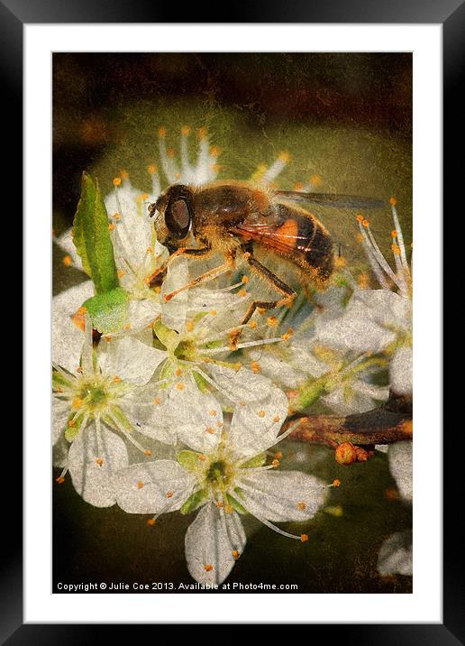 Drone Fly Framed Mounted Print by Julie Coe