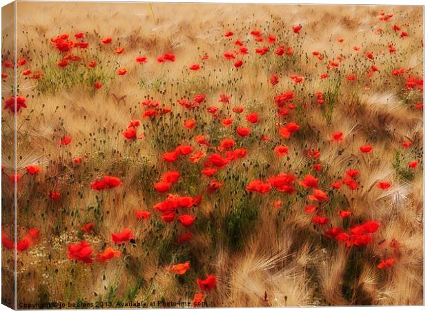red poppy field Canvas Print by Jo Beerens
