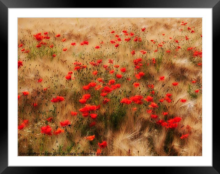 red poppy field Framed Mounted Print by Jo Beerens